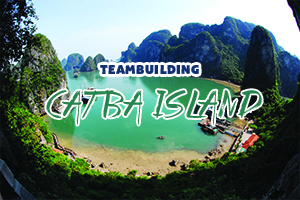 Team building 2025 for the environment