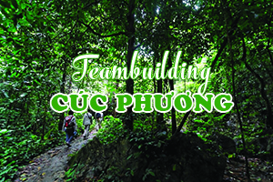 Team building 2025 in Ninh Binh, Vietnam