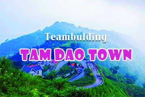 Team building at Tam Dao Town